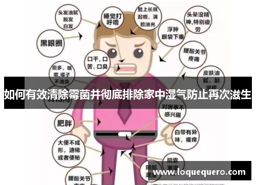如何有效清除霉菌并彻底排除家中湿气防止再次滋生